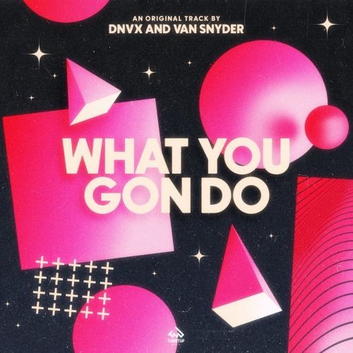 What You Gon Do - Dnvx & Van Snyder