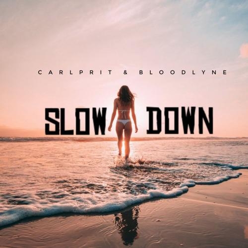 Slow Down (Radio Edit) - Carlprit & Bloodlyne