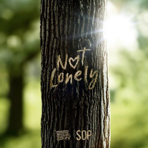 Not Lonely - Gestort Aber GeiL feat. SDP