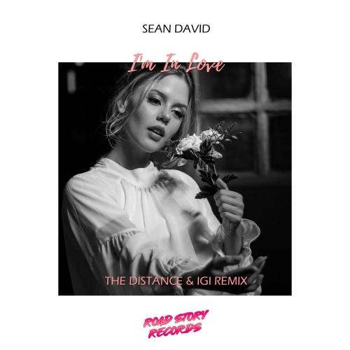 I'm in Love (The Distance & Igi Remix) - Sean David