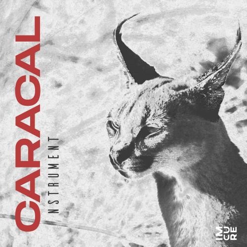 Caracal - Nstrument