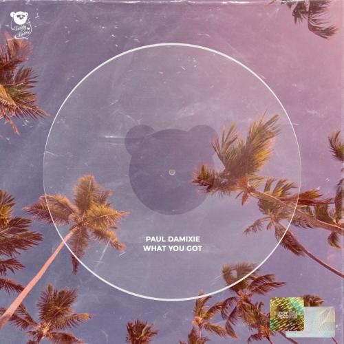 What You Got - Paul Damixie