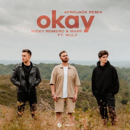 Okay (Afrojack Remix) - Nicky Romero & Marf feat. Wulf
