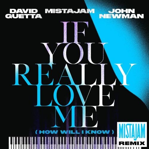 If You Really Love Me (How Will I Know) (MistaJam Remix) - David Guetta, MistaJam & John Newman