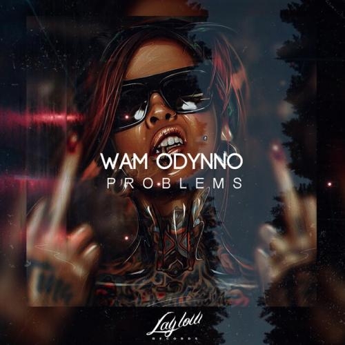 Problems - Wam Odynno