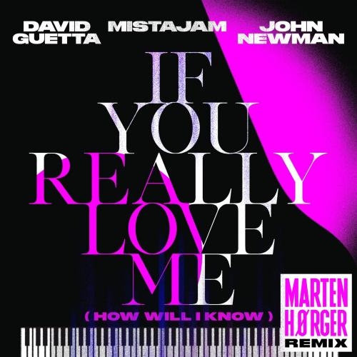 If You Really Love Me (How Will I Know) (Marten Hørger Remix) - David Guetta & MistaJam & John Newman