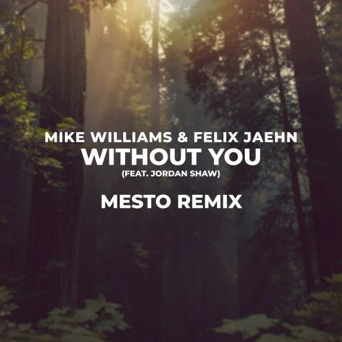 Without You (Mesto Remix) - Mike Williams & Felix Jaehn feat. Jordan Shaw