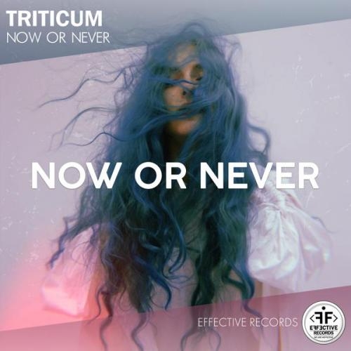 Gangster - TRITICUM