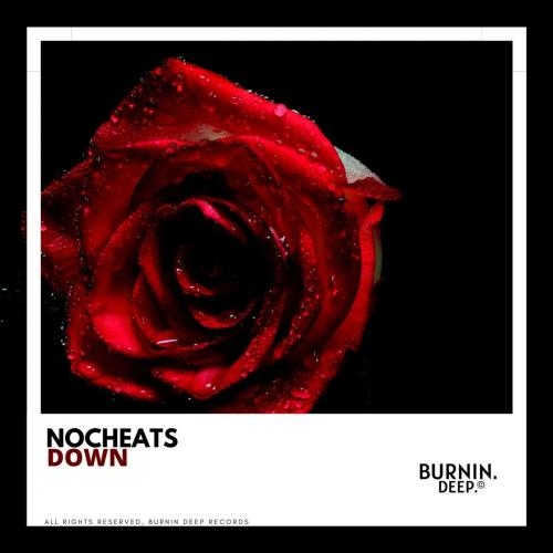Down - NoCheats