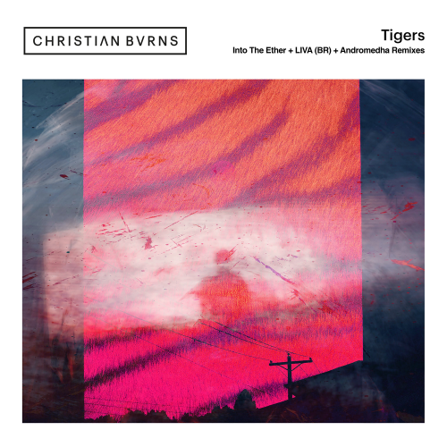Tigers (Andromedha Remix) - Christian Burns