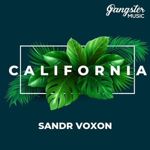 California - Sandr Voxon