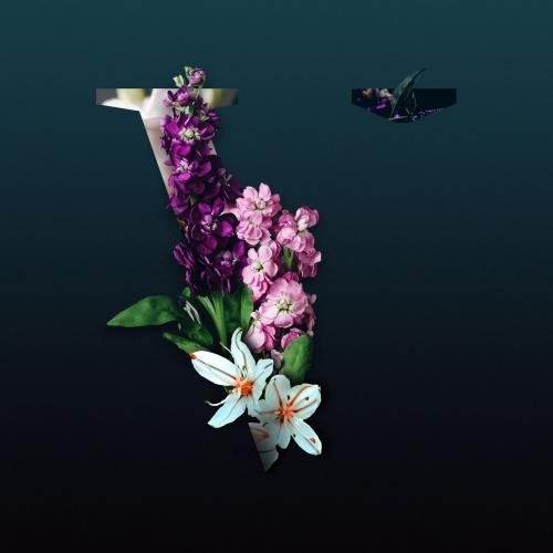 Dont Wanna Know (Le Youth Remix) - Falden