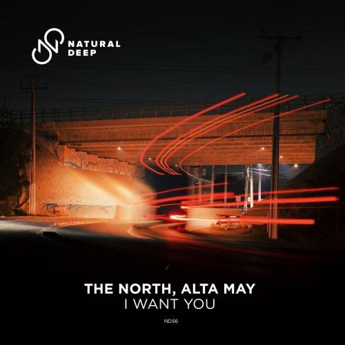 I Want You - The North & Alta May