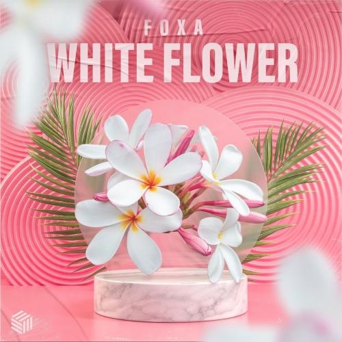 White Flower - Foxa