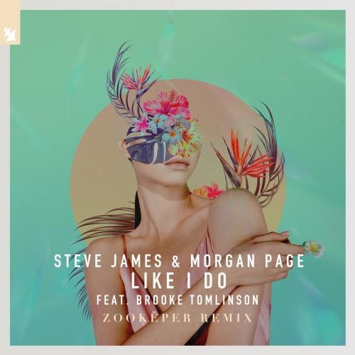 Like I Do - Steve James & Morgan Page feat. Brooke Tomlinson