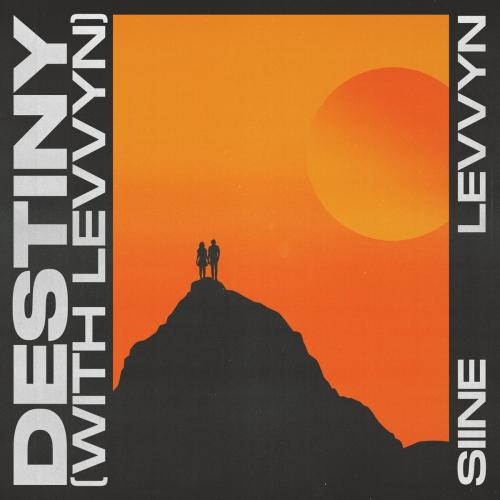 Destiny - Siine feat. Levvyn
