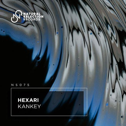 Kankey - Hexari