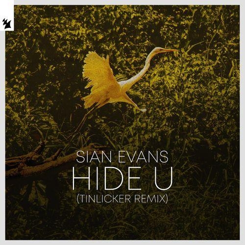 Hide U (Tinlicker Remix) - Sian Evans