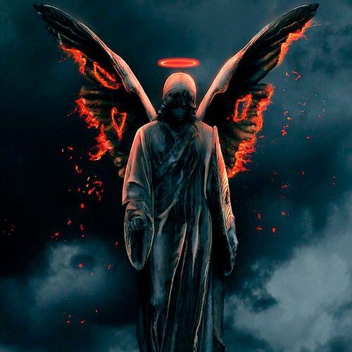 Angel - Payin' Top Dolla