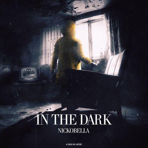 In The Dark - Nickobella