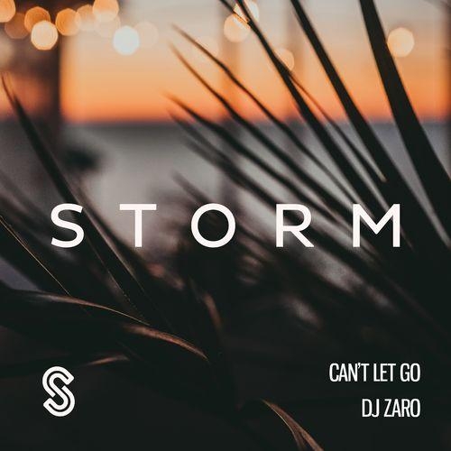 Can't Let Go - DJ Zaro