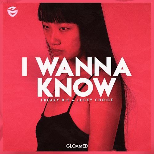 I Wanna Know - Freaky DJs & Lucky Choice