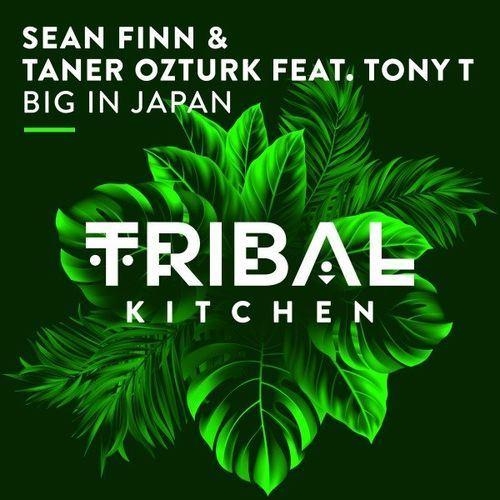 Big In Japan - Sean Finn & Taner Ozturk feat. Tony T