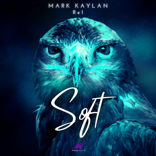 Soft - Mark Kaylan & Re1