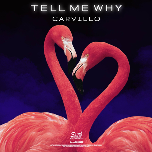 Tell Me Why - Carvillo