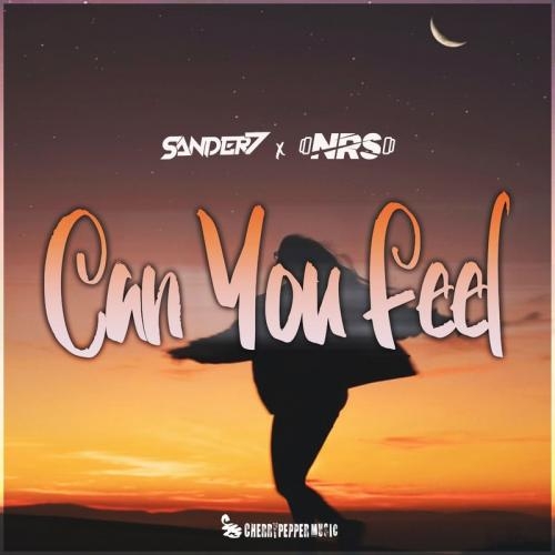 Can You Feel (Radio Edit) - Sander-7 feat. NRS