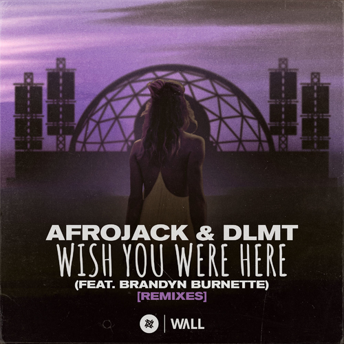 Wish You Were Here (Dave Summit & CastNowski Remix) - Afrojack & DLMT feat. Brandyn Burnette