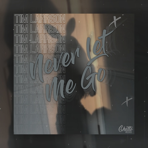 Never Let Me Go - Tim Larrson