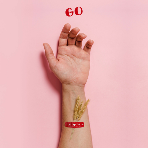 GO - Faruk Orakci