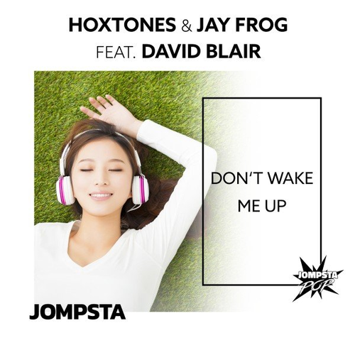 Don't Wake Me Up (Edit) - Hoxtones & Jay Frog feat. David Blair