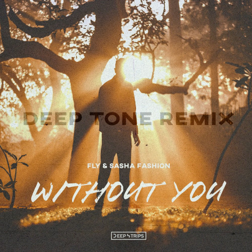 Without You (Deep Tone Remix) - FLY & Sasha Fashion
