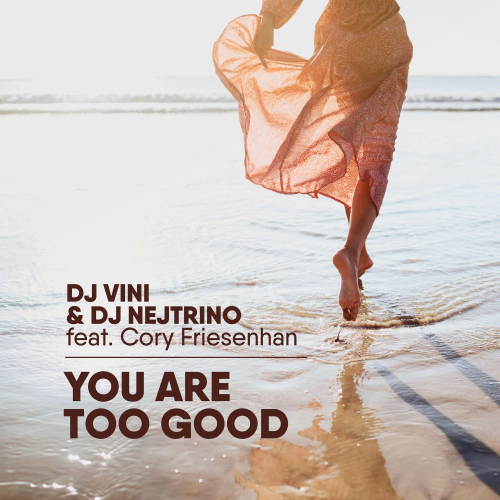 You Are Too Good - DJ Vini & Dj Nejtrino feat. Core Friesenhan