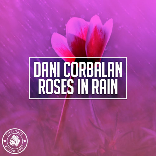 Roses In Rain (Radio Edit) - Dani Corbalan